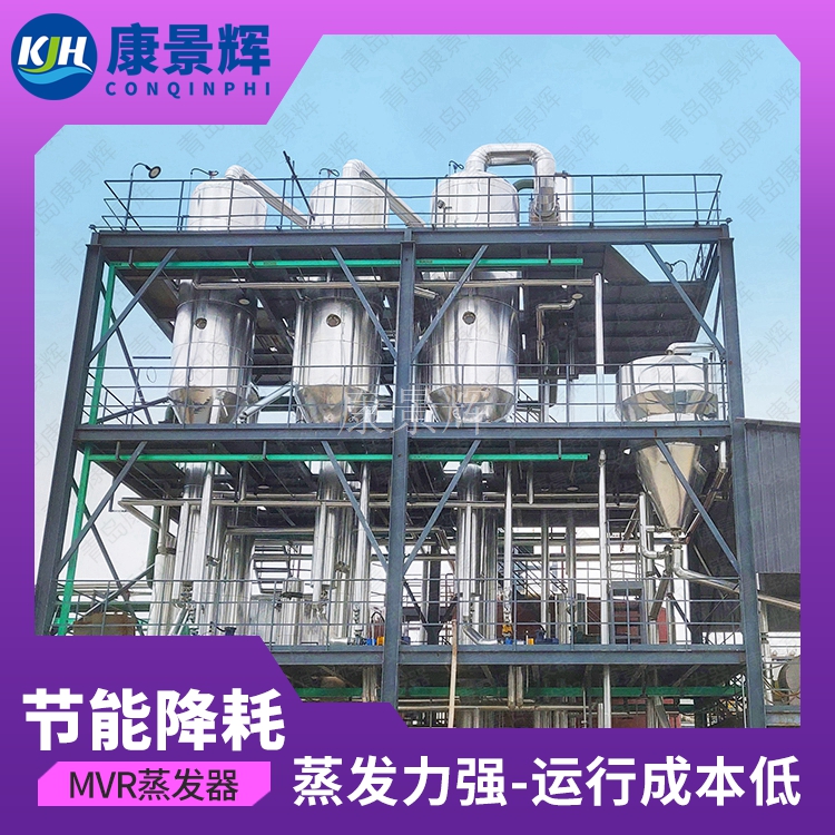 甘（gān）氨酸結（jié）晶母液蒸發係統（tǒng）